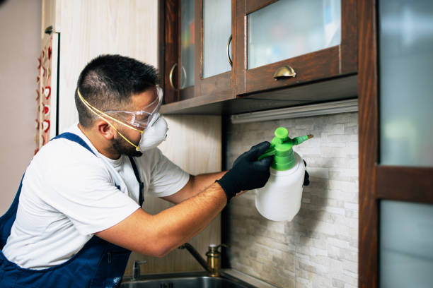 Best Pest Removal Services  in Los Chaves, NM