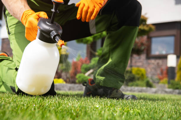 Best Pest Control Near Me  in Los Chaves, NM