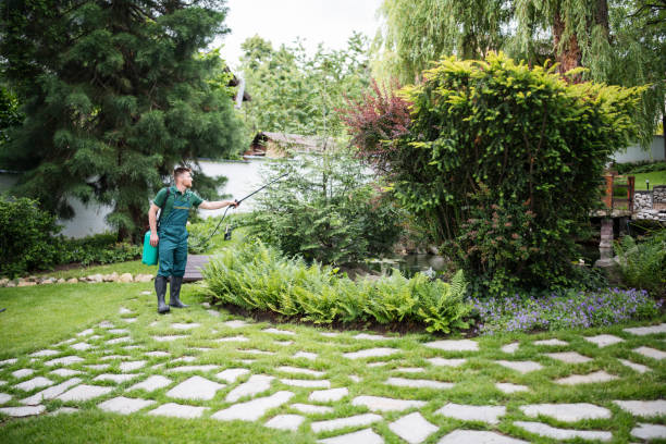 Best Local Pest Control Services  in Los Chaves, NM