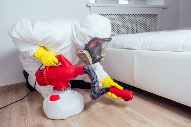 Best Bed Bug Extermination  in Los Chaves, NM