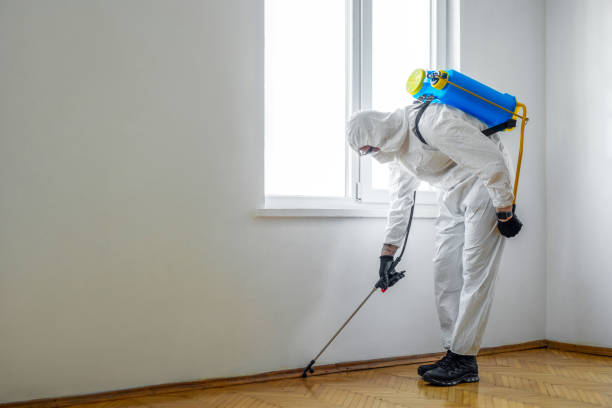 Best Pest Control Near Me in Los Chaves, NM