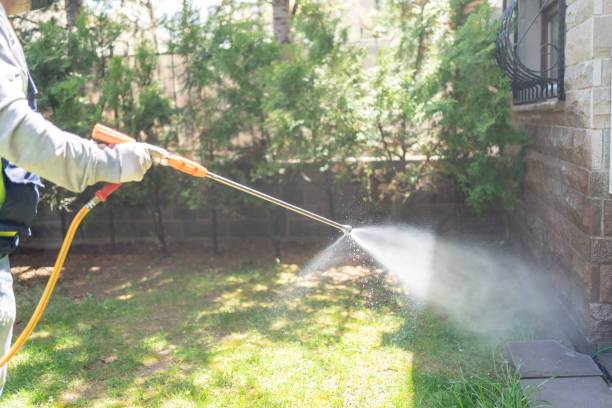 Best Termite Control Services  in Los Chaves, NM