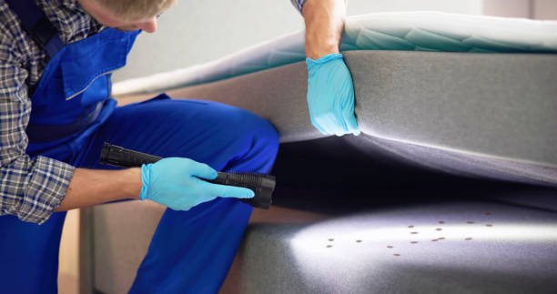 Best Exterminator Services  in Los Chaves, NM