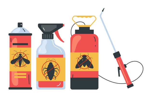 Best Cockroach Control Services  in Los Chaves, NM